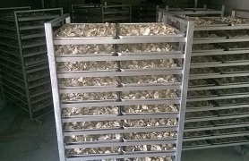 食品药材烘干